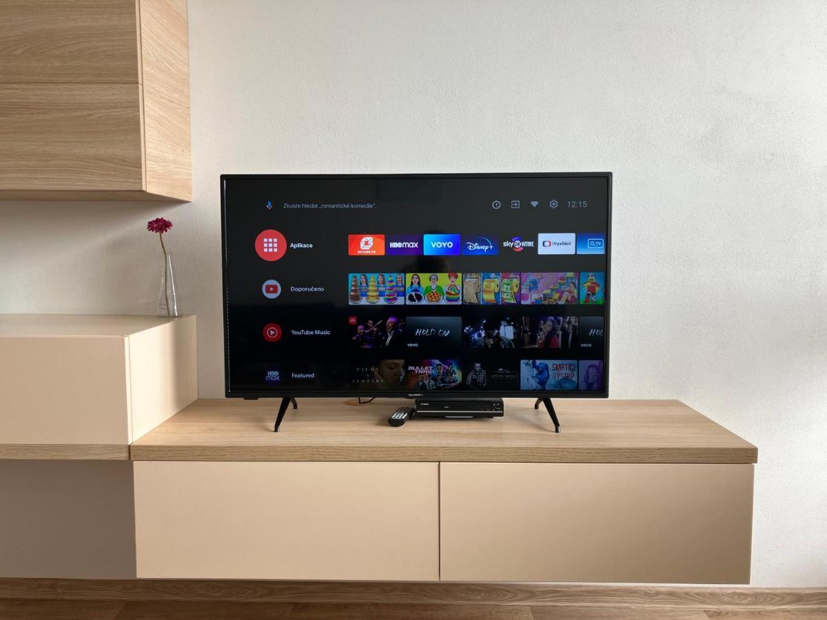 Apartman Vsemina 300 エクステリア 写真